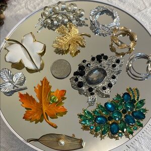 Elegant collection of leaf brooches made of a variety of  materials